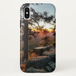 Landschaftlicher Sonnenuntergang/Pinienbäume/Mogol Case-Mate iPhone Hülle
