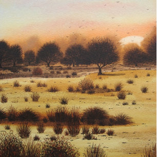 landschaftlicher Sonnenuntergang über Waldflächen 