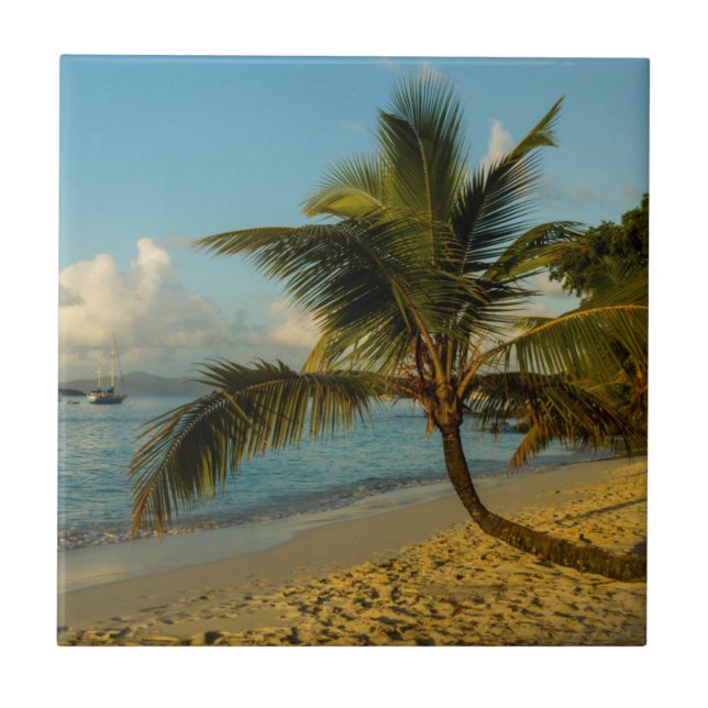 landschaftlicher Strand Fliese (Vorderseite)