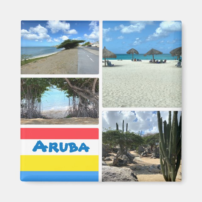 Landschaftlicher Strand und Wüste Aruba Magnet (Vorne)