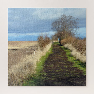 Landschaftlicher Sumpfweg