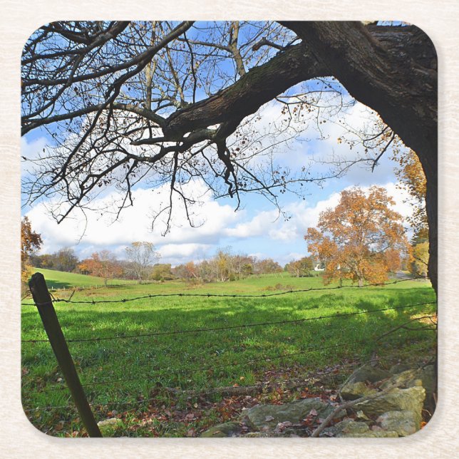 Landschaftlicher Untersetzer des Waldbestandes (Vorderseite)