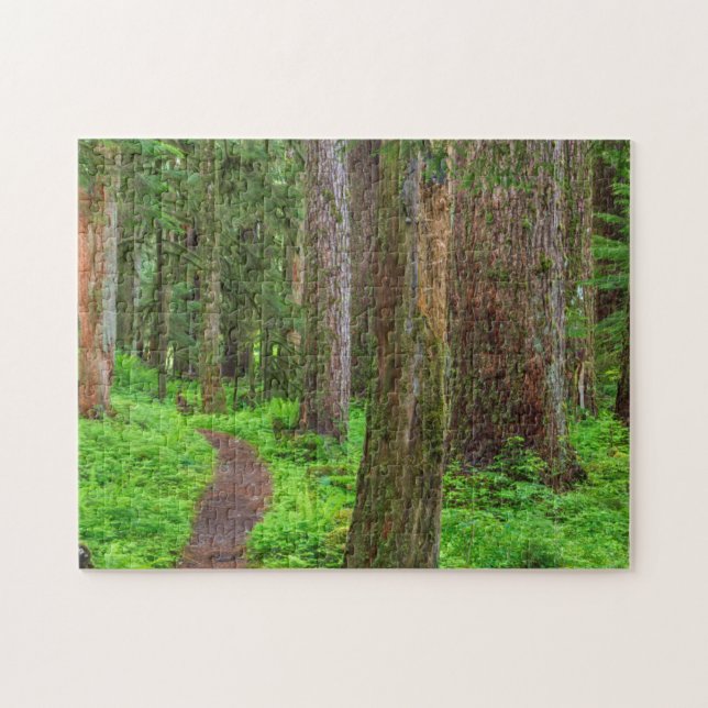 Landschaftlicher Wald (Horizontal)