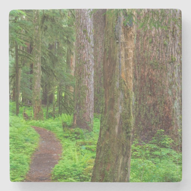Landschaftlicher Wald Steinuntersetzer (Vorderseite)