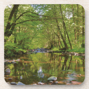 Landschaftlicher Wilson-Fluss Getränkeuntersetzer