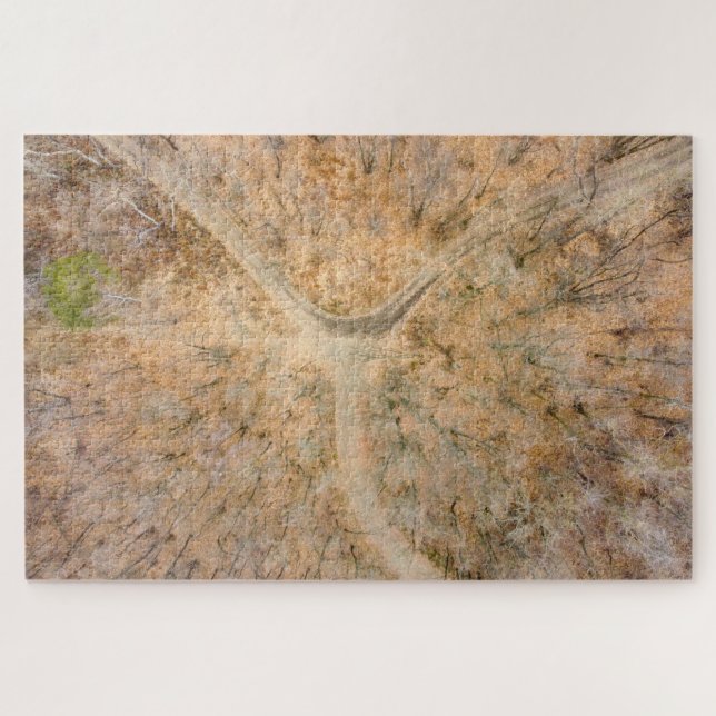 Landschaftlicher zenithaler Blick auf ein Wald Jig (Horizontal)