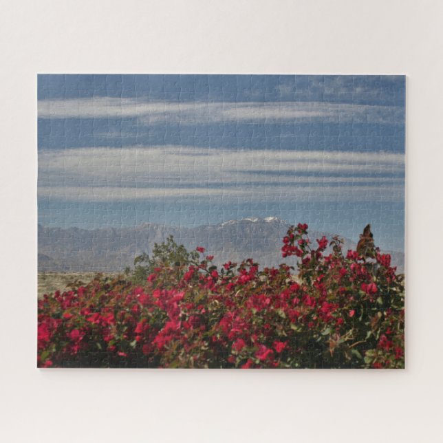 Landschaftliches California Mountains Palm Springs (Horizontal)
