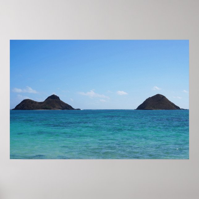Landschaftliches Hawaii Ocean View Poster (Vorne)