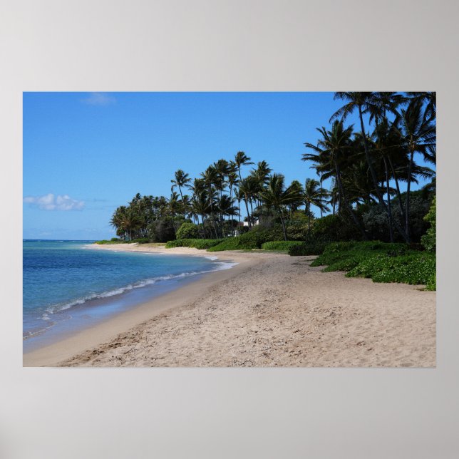Landschaftliches hawaiianisches Küstenansicht-Post Poster (Vorne)