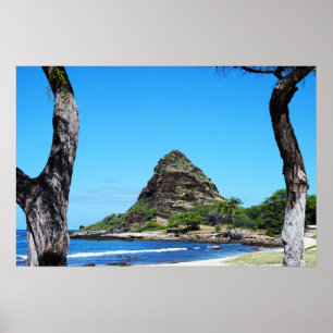 Landschaftliches hawaiianisches Küstenansicht-Post Poster