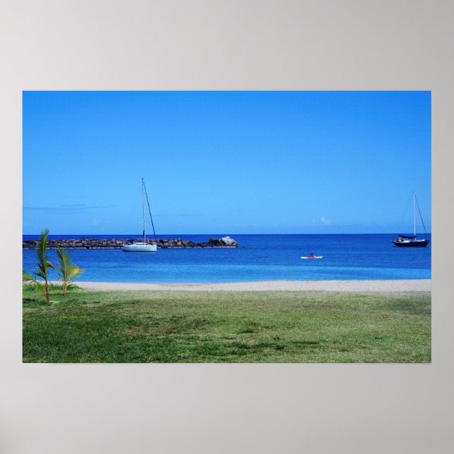 Landschaftliches hawaiianisches Küstenansicht-Post Poster (Vorne)