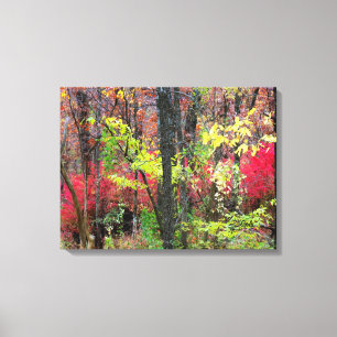 Landschaftliches Herbstlandschaft Foto ummantelt C Leinwanddruck