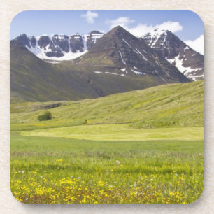 Landschaftliches Panorama des Svarfadardalur-Tals Untersetzer