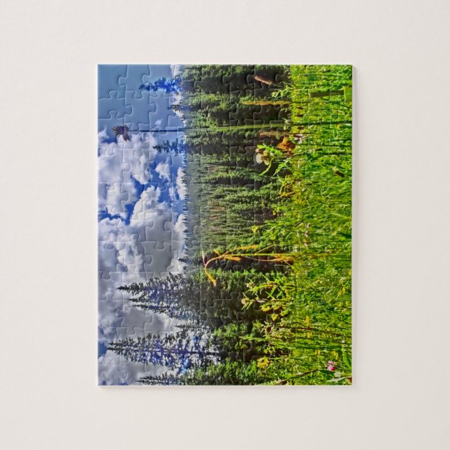 Landschaftliches Puzzle auf der Bergwiese Colorado (Vertikal)