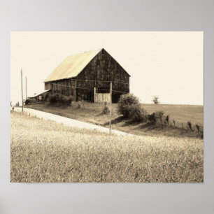 landschaftliches Stallbild Poster