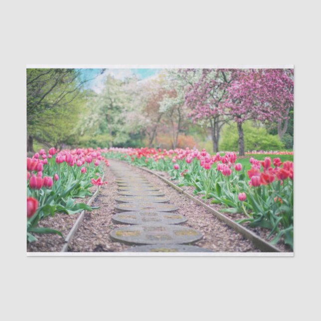 Landschaftliches Tulip Path Tissue Paper Seidenpapier (Vorderseite)