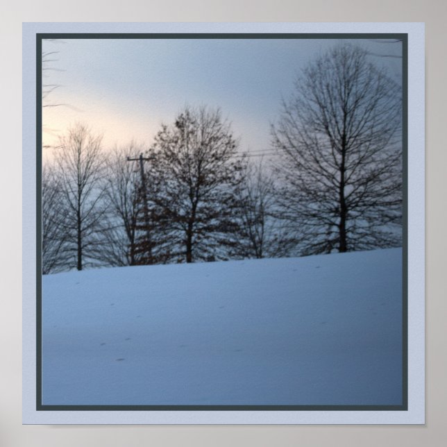 Landschaftliches Winterbaumposter Poster (Vorne)
