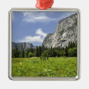 Landschaftliches Yosemite-Tal, Kalifornien Silbernes Ornament