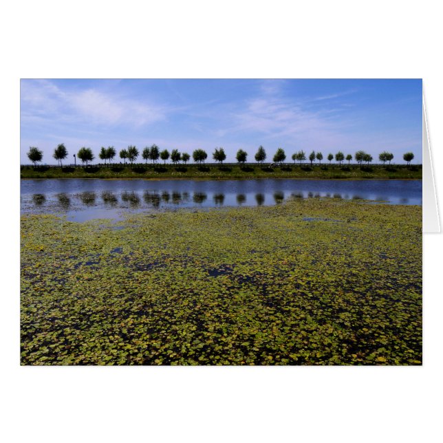 Landschaftsbild (Vorderseite (Horizontal))