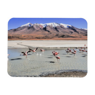 Landschaftsbild Bolivien Magnet
