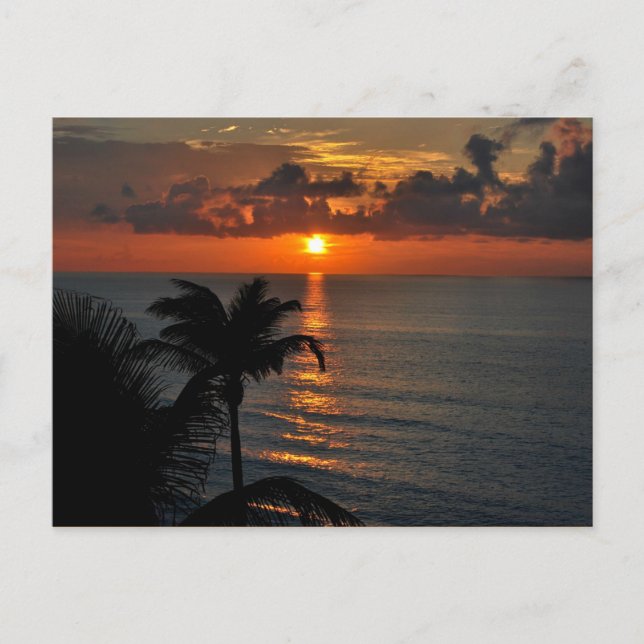 Landschaftsbild des tropischen Sonnenuntergangs (C Postkarte (Vorderseite)