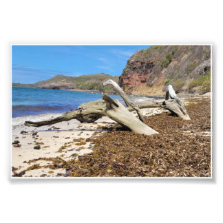 Landschaftsbild Fotodruck