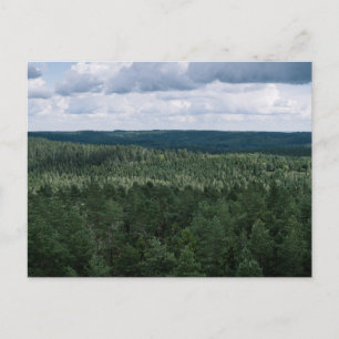 Landschaftsbild grüner Wald Panorama Foto Postkarte