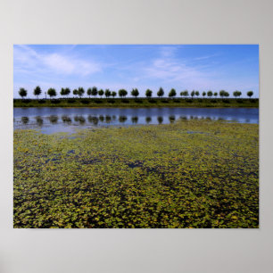 Landschaftsbild Poster