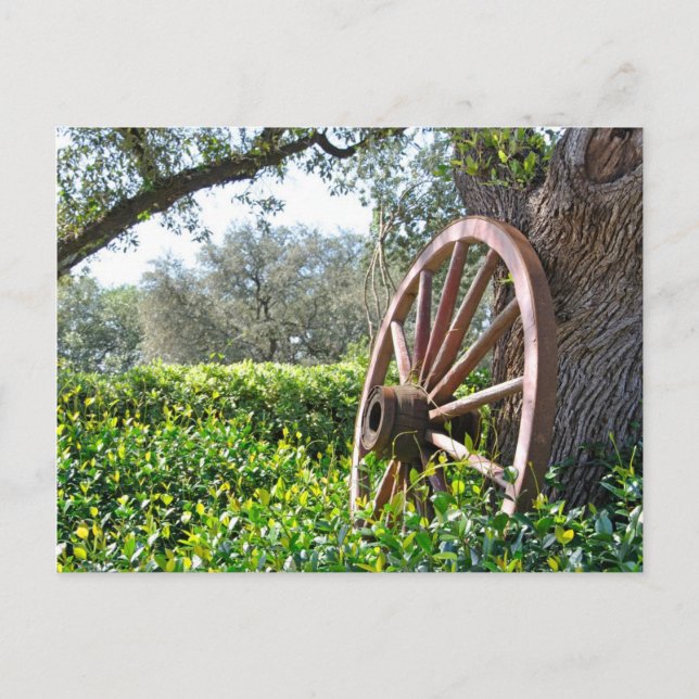 Landschaftsbild Postkarte (Vorderseite)