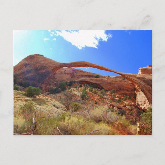 Landschaftsbogen, Arches National Park, Utah Postkarte (Vorderseite)