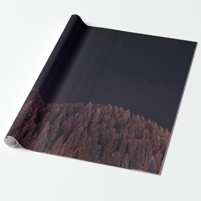LANDSCHAFTSFOTO DER BÄUME GESCHENKPAPIER (Ungerollt)
