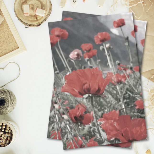 Landschaftslandschaft Roter Mohn Blume Seidenpapier (country nature landscape red poppy flower tissue paper)