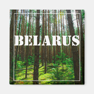 Landschaftslandschaft Wald Weißrussland Magnet