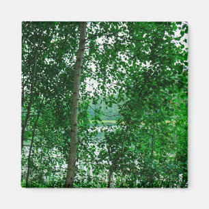 Landschaftslandschaft Wald Weißrussland Magnet
