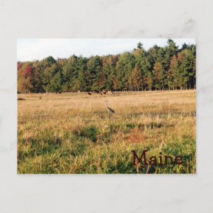 Landschaftspflege Postkarte