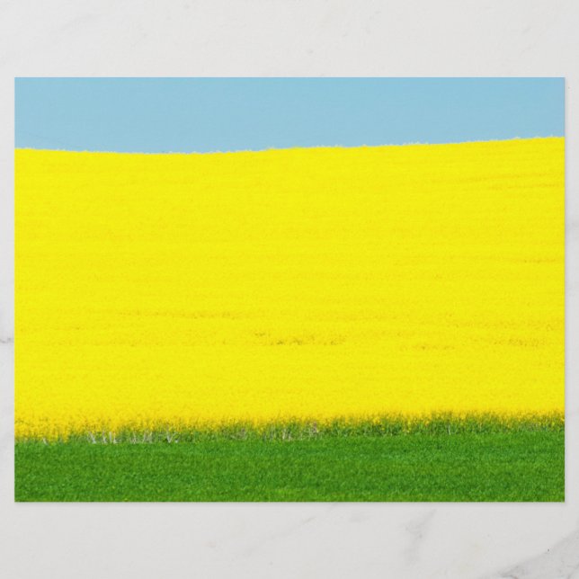 Landschaftswiese Flyer (Vorne)