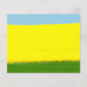 Landschaftswiese Flyer