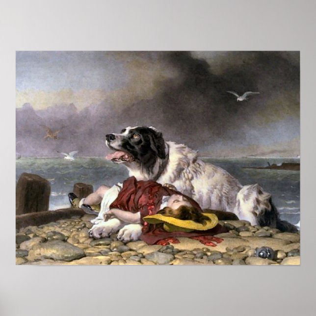 Landseer Gerettet Poster (Vorne)