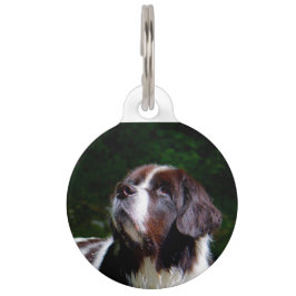 Landseer Hund. Haustiermarke