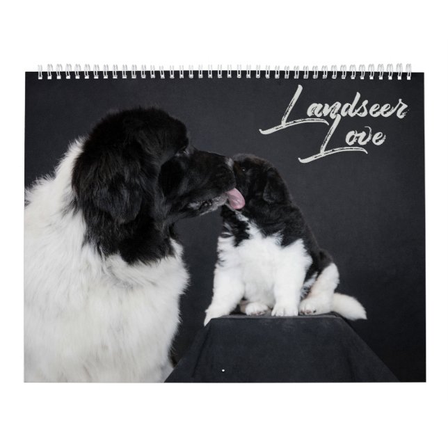 Landseer Liebe Kalender (Titelbild)