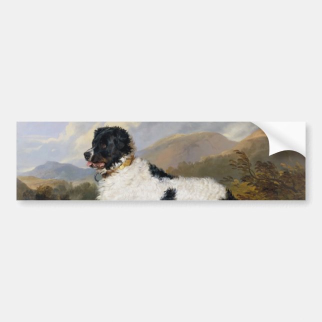 Landseer Neufundland Hund (Schwarzes und Weißes Ti Autoaufkleber (Vorne)