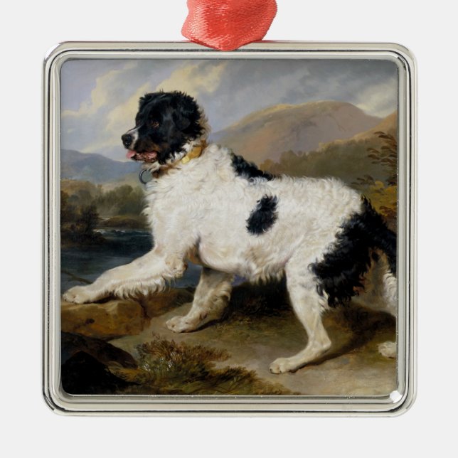 Landseer Neufundland Hund (Schwarzes und Weißes Ti Ornament Aus Metall (Vorne)