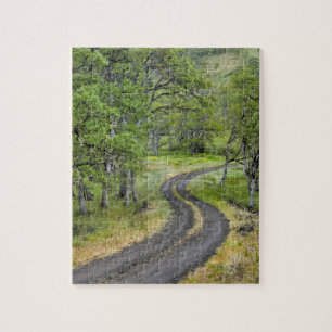 Landstraße durch Bäume, Oregon
