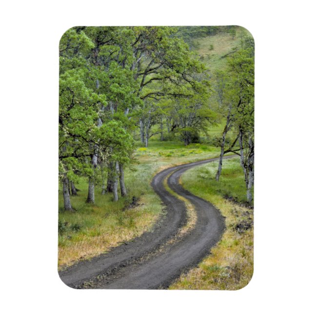 Landstraße durch Bäume, Oregon Magnet (Vertikal)