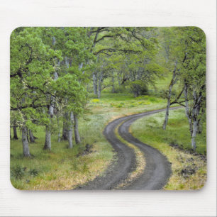 Landstraße durch Bäume, Oregon Mousepad