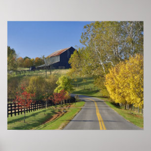 Landstraße durch die Region Bluegrass in Kentucky Poster