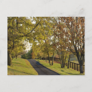 Landstraße durch die Region Bluegrass Kentucky 2 Postkarte