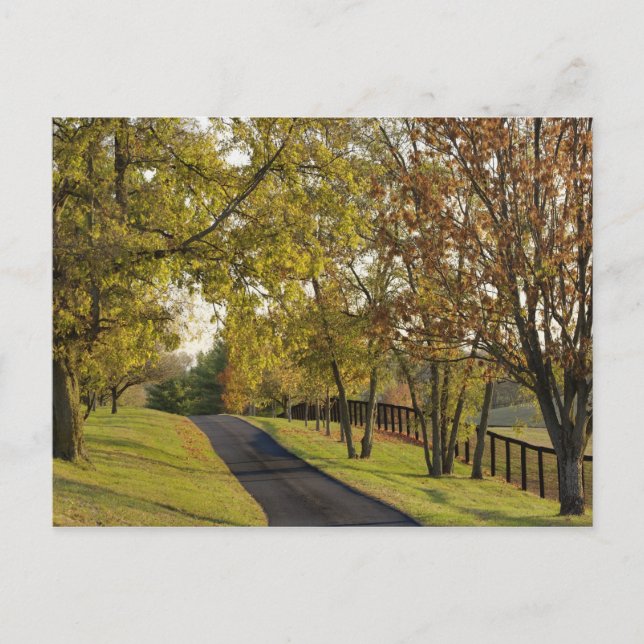 Landstraße durch die Region Bluegrass Kentucky 2 Postkarte (Vorderseite)