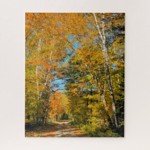 Landstrasse Herbstfarben New Hampshire