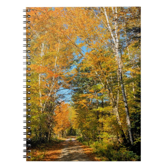 Landstrasse Herbstfarben New Hampshire Notizblock (Vorderseite)